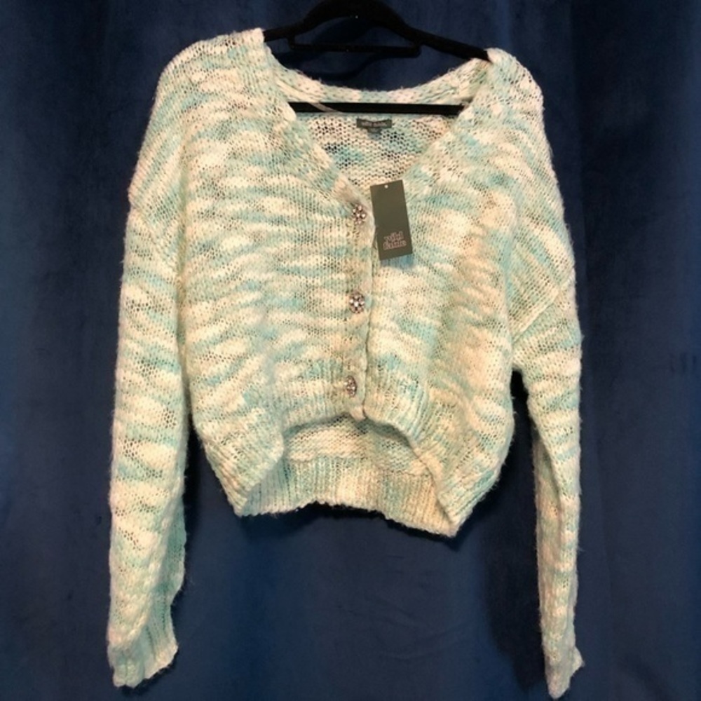 Wild Fable Teal and White Crop Sweater with Jewel Buttons